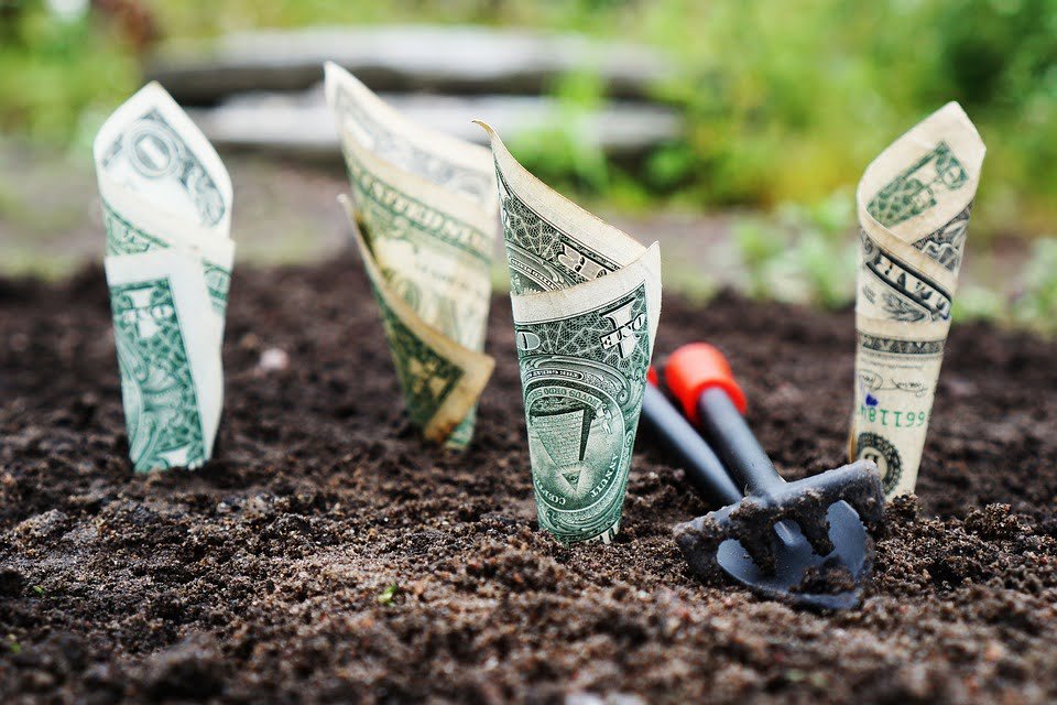 Navigating the Complex World of Wealth Management: Tips for Success
