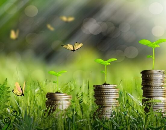 Understanding the Basics: A Guide to Economic Fundamentals