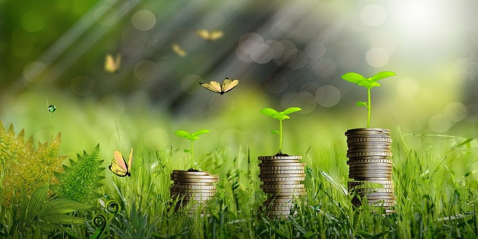 Understanding the Basics: A Guide to Economic Fundamentals