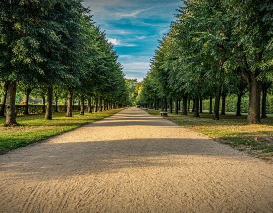 Unlocking the Secrets to Passive Income: How to Make Money While You Sleep